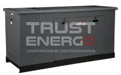 Газовый генератор Briggs & Stratton G290 с АВР